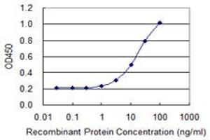 Detection limit for recombinant GST tagged HOXA1 is 0. (HOXA1 抗体  (AA 11-119))