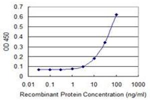 Detection limit for recombinant GST tagged ETNK1 is 1 ng/ml as a capture antibody. (Ethanolamine Kinase 1 抗体  (AA 133-228))