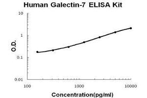Human Galectin-7 PicoKine ELISA Kit standard curve (LGALS7 ELISA 试剂盒)