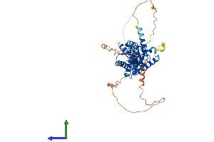 Protein Structure (PS) image for Calcium Channel, Voltage-Dependent, beta 3 Subunit (CACNB3) (AA 1-484) protein (His tag) (ABIN7552956)