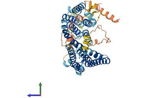 Protein Structure (PS) image for Serine Incorporator 3 (SERINC3) (AA 1-473) protein (His tag) (ABIN7546077)