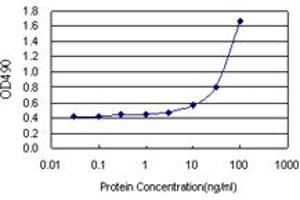 Sandwich ELISA detection sensitivity ranging from 3 ng/mL to 100 ng/mL. (IDO1 (人) Matched Antibody Pair)