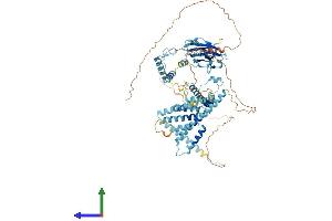 Protein Structure (PS) image for Cactin, Spliceosome C Complex Subunit (CACTIN) (AA 1-772) protein (His tag) (ABIN7564941)