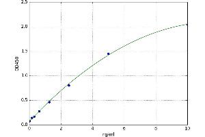 Interferon Regulatory Factor 5 (IRF5) ELISA Kit