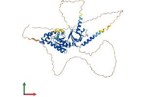 Protein Structure (PS) image for Calcium Channel, Voltage-Dependent, beta 4 Subunit (CACNB4) (AA 1-519) protein (His tag) (ABIN7559642)