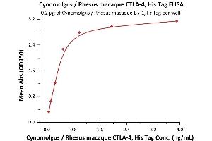 ELISA image for Cytotoxic T-Lymphocyte-Associated Protein 4 (CTLA4) (AA 37-160) (Active) protein (His tag) (ABIN2180926)