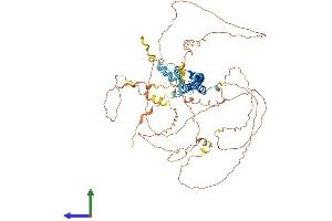 AlphaFold protein structure predicition of Mouse Recombinant Nfe2l3 Protein, UniprotID Q9WTM4