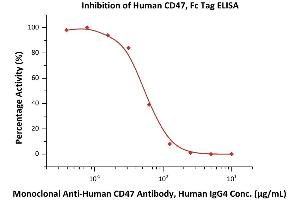 CD47 (CD47) (AA 19-139) (Active) protein (Fc Tag)