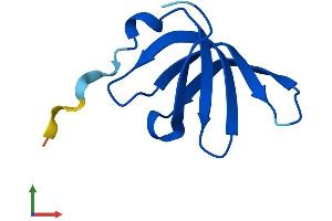 Protein Structure (PS) image for Small Nuclear Ribonucleoprotein Polypeptide G (SNRPG) (AA 1-76) protein (Fc Tag) (ABIN7551608)