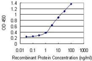 Detection limit for recombinant GST tagged FLT3 is 0. (FLT3 抗体  (AA 91-190))