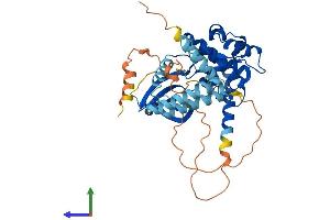 Protein Structure (PS) image for serine/threonine Kinase 24 (STK24) (AA 1-443) protein (His tag) (ABIN7555605)