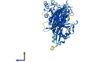 Protein Structure (PS) image for Calpain 5 (CAPN5) (AA 1-640) protein (His tag) (ABIN7552960)