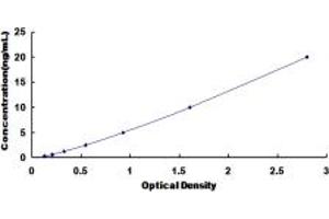 Typical standard curve (CAPN10 ELISA 试剂盒)