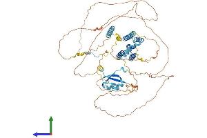 Protein Structure (PS) image for Cytoskeleton Associated Protein 2 (CKAP2) (AA 1-664) protein (His tag) (ABIN7557345)