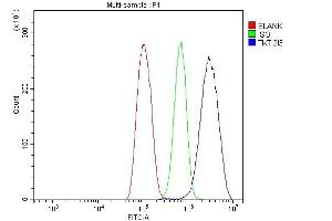 Flow Cytometry analysis of THP-1 cells using anti-Transketolase/TKT antibody (ABIN7598957).