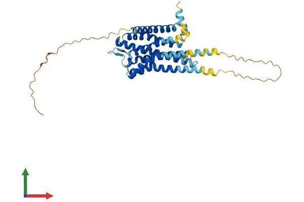 Serotonin Receptor 5A Protein (HTR5A) (AA 1-357) (His tag)