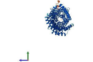 Protein Structure (PS) image for MAU2 Sister Chromatid Cohesion Factor (MAU2) (AA 1-613) protein (His tag) (ABIN7545858)