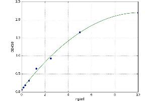 A typical standard curve