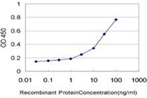 Detection limit for recombinant GST tagged KPTN is approximately 1ng/ml as a capture antibody. (KPTN 抗体  (AA 1-436))