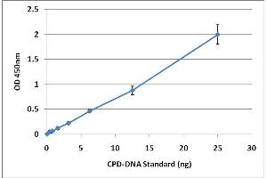 CPD-DNA Standard Curve (UV-Induced DNA Damage ELISA 试剂盒)