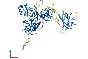 Protein Structure (PS) image for Calpain 10 (CAPN10) (AA 1-672) protein (His tag) (ABIN7552834)