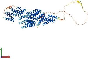 Protein Structure (PS) image for Cell Division Cycle 16 Homolog (S. Cerevisiae) (CDC16) (AA 1-620) protein (His tag) (ABIN7564696)