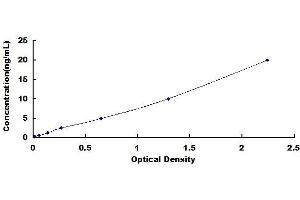 Typical standard curve (Tricellulin ELISA 试剂盒)