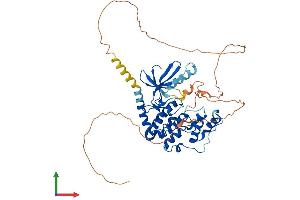 AlphaFold protein structure predicition of Human Recombinant CDKL2 Protein, UniprotID Q92772 (CDKL2 Protein (AA 1-493) (His tag))