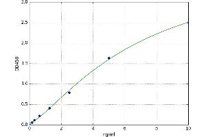 Cytochrome C Oxidase Subunit IV Isoform 1 (COX4I1) ELISA Kit