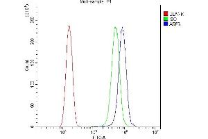 Flow Cytometry analysis of SiHa cells using anti-ARF6 antibody (ABIN4886473). (ARF6 抗体  (AA 2-175))