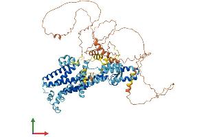 AlphaFold protein structure predicition of Mouse Recombinant Phtf1 Protein, UniprotID Q9QZ09