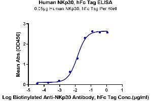 Immobilized Human NKp30, hFc Tag at 0. (NCR3 Protein (AA 19-138) (Fc Tag))