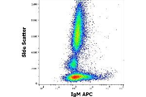 Flow cytometry surface staining pattern of human peripheral whole blood stained using anti-human IgM (CH2) APC antibody (concentration in sample 0,6 μg/mL). (小鼠 anti-人 IgM Antibody (APC))