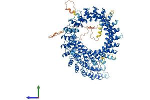 AlphaFold protein structure predicition of Mouse Recombinant Ankrd52 Protein, UniprotID Q8BTI7