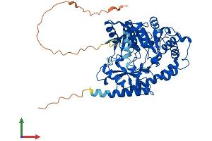 AlphaFold protein structure predicition of Mouse Recombinant Accs Protein, UniprotID A2AIG8