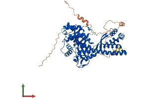 AlphaFold protein structure predicition of Human Recombinant SETD3 Protein, UniprotID Q86TU7