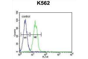 Flow Cytometry (FACS) image for anti-Lysine (K)-Specific Demethylase 4C (KDM4C) antibody (ABIN2996198) (KDM4C 抗体)