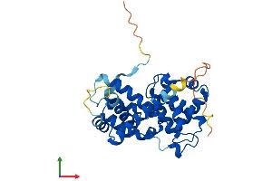 AlphaFold protein structure predicition of Mouse Recombinant Ccnd2 Protein, UniprotID P30280 (Cyclin D2 Protein (CCND2) (AA 1-289) (His tag))