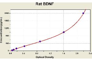 Brain-Derived Neurotrophic Factor (BDNF) ELISA Kit