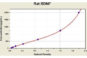 Diagramm of the ELISA kit to detect Rat BDNFwith the optical density on the x-axis and the concentration on the y-axis.