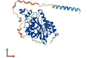 Protein Structure (PS) image for beta-1,3-N-Acetylglucosaminyltransferase 7 (B3GNT7) (AA 1-401) protein (His tag) (ABIN7552546)