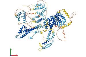 Protein Structure (PS) image for SIN3 Transcription Regulator Homolog B (SIN3B) (AA 1-1098) protein (His tag) (ABIN7563947)