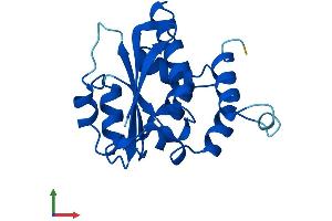 AlphaFold protein structure predicition of Mouse Recombinant Tprkb Protein, UniprotID Q8QZZ7