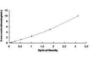 ELISA image for Growth Differentiation Factor 5 (GDF5) ELISA Kit (ABIN3156998) (GDF5 ELISA 试剂盒)