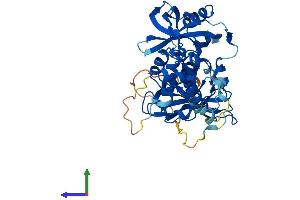 Protein Structure (PS) image for Cereblon (CRBN) (AA 1-445) protein (His tag) (ABIN7559184)