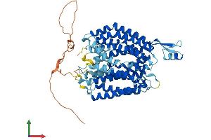 Protein Structure (PS) image for Solute Carrier Family 33 Member 1 (SLC33A1) (AA 1-549) protein (His tag) (ABIN7551848)