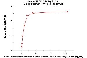 ELISA image for Tumor-Associated Calcium Signal Transducer 2 (TACSTD2) (AA 27-274) protein (Fc Tag) (ABIN7013416)