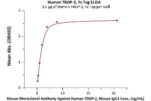 Immobilized Human TROP-2, Fc Tag (ABIN6973298) at 1 μg/mL (100 μL/well) can bind Mouse Monoclonal Antibody Against Human TROP-2, Mouse IgG1 with a linear range of 0.