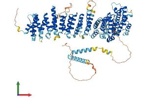 AlphaFold protein structure predicition of Human Recombinant EFR3A Protein, UniprotID Q14156