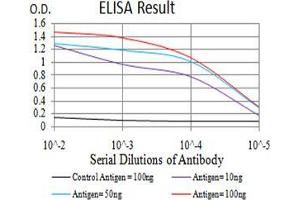 Black line: Control Antigen (100 ng);Purple line: Antigen (10ng); Blue line: Antigen (50 ng); Red line:Antigen (100 ng) (CPV-VP2 (AA 1-128) 抗体)